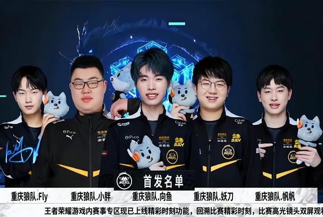 职业球员的 职业球员的
